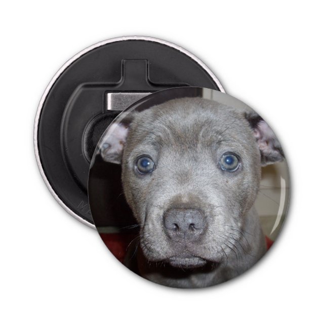Décapsuleur Face De Chiot Bleu, Ouverture De Bouteille Magnéti (Devant)