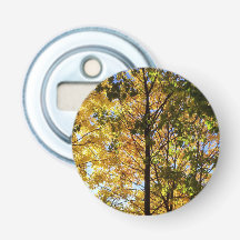 Feuillage d'automne jaune et vert