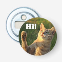 Ginger Cat Dit Bonjour !