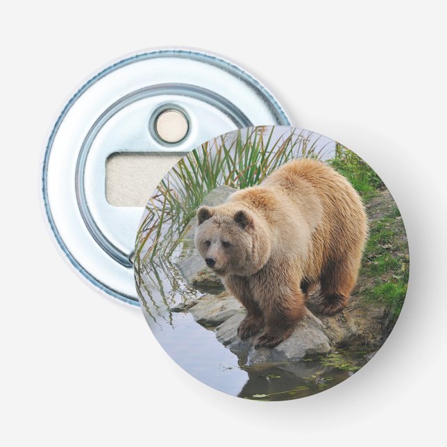 Décapsuleur Grizzly Oear Wildlife Animal Photographie (Devant)