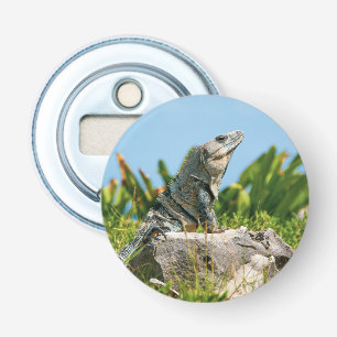 Décapsuleur Iguana