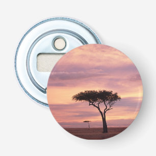 Décapsuleur Image de la silhouette d'un arbre acacia au lever