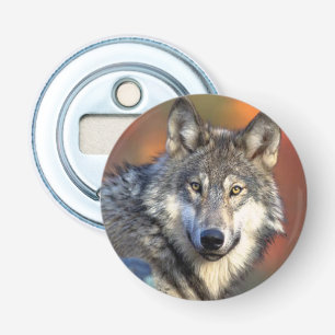 Décapsuleur Image de photographie de loup