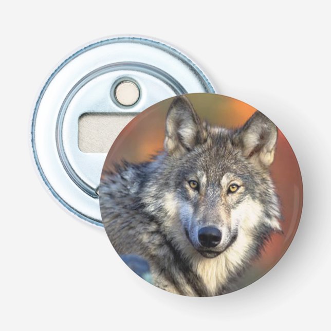 Décapsuleur Image de photographie de loup (Devant)