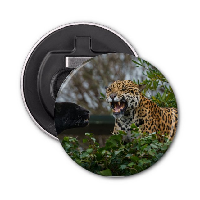 Décapsuleur Jaguar Growl Trivet Can Cooler (Devant)