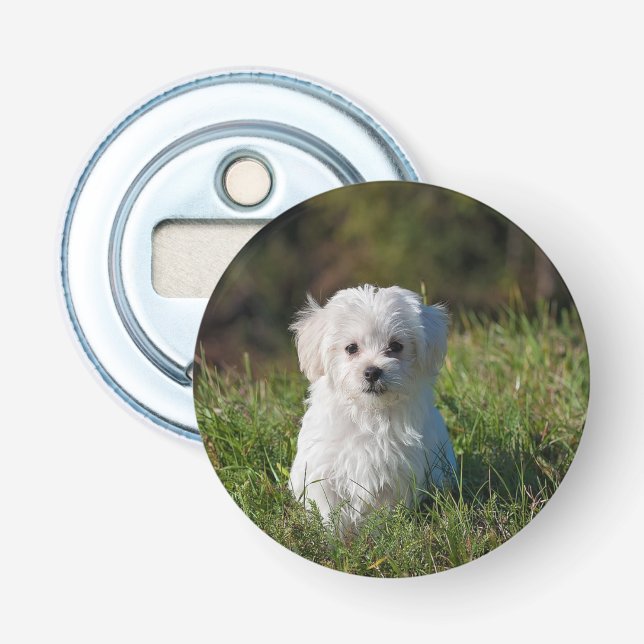Décapsuleur Joli chiot blanc (Devant)