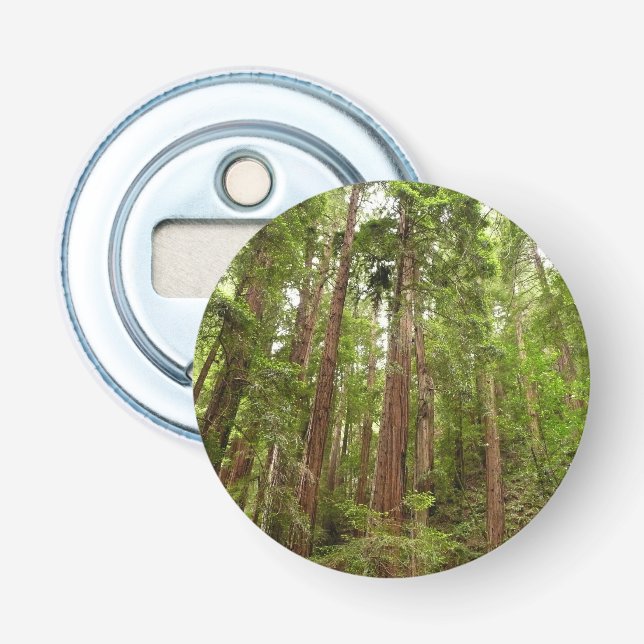 Décapsuleur Jusqu'à Redwoods I au monument national de Muir Wo (Devant)