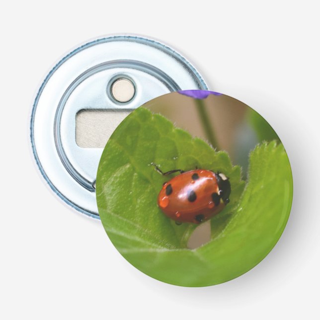Décapsuleur Ladybug sur les fleurs de violet doux (Devant)