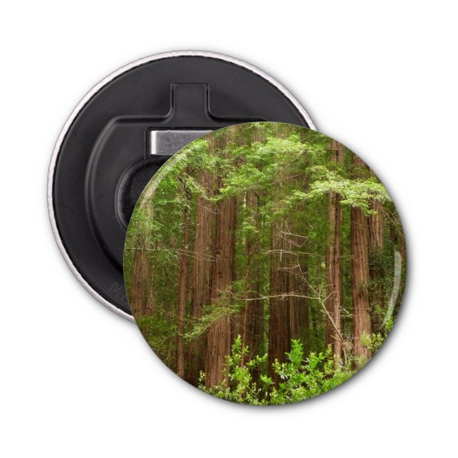 Décapsuleur Les séquoias au monument national de Muir Woods (Devant)