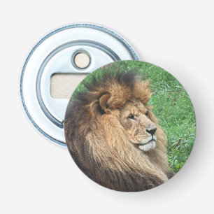 Décapsuleur Lion 001