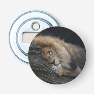 Décapsuleur Lion 030