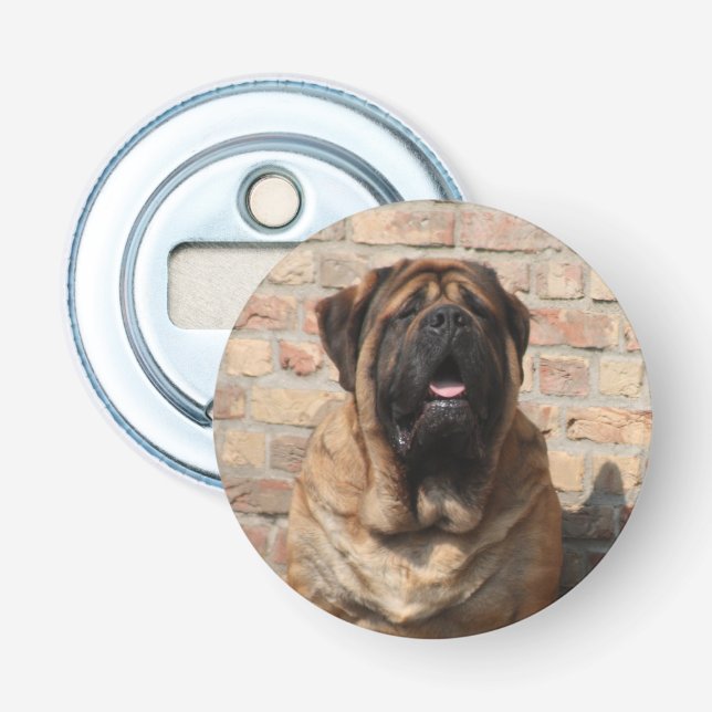 Décapsuleur Mastiff dogue anglais fête des pères (Devant)