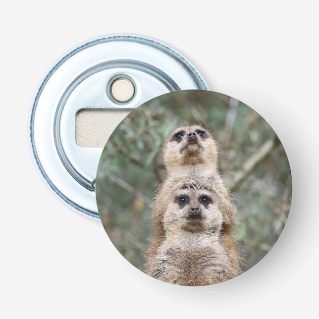 Décapsuleur Meerkat 081 (Devant)