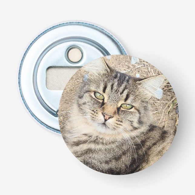 Décapsuleur Ouverture de la bouteille de chat Tabby gris (Devant)