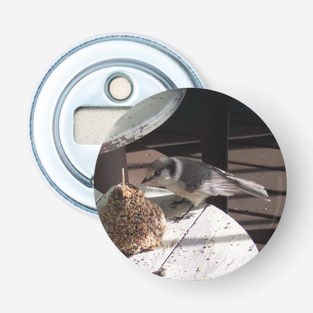 Décapsuleur Ouvreur de bouteille de geai gris et de bouton de (Devant)