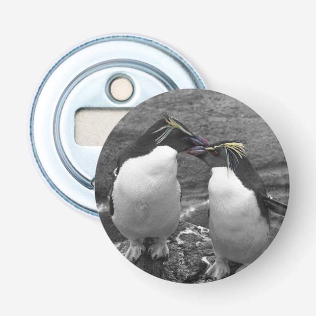 Décapsuleur Penguin Colour Splash (Devant)