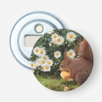 Photo d'un écureuil roux mignon et de marguerites