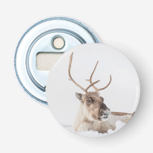 Décapsuleur Reindeer Nature Photo Souvenir