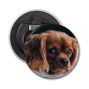 Décapsuleur Ruby Cavalier le roi Charles Spaniel