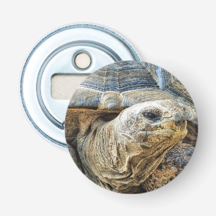 DÉCAPSULEUR TORTUE GÉANTE