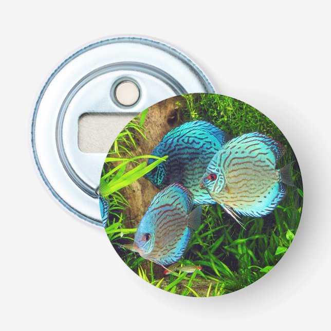 Décapsuleur Turquoise Blue Discus (Devant)