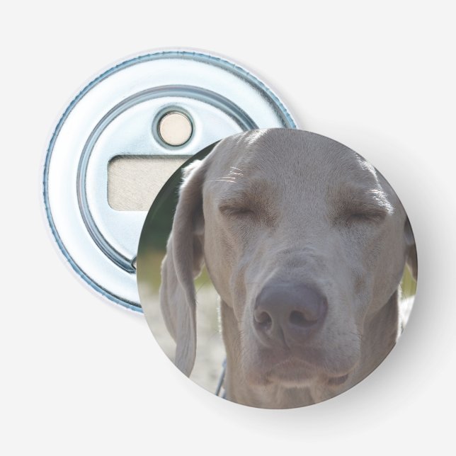 Décapsuleur Weimaraner somnolent (Devant)