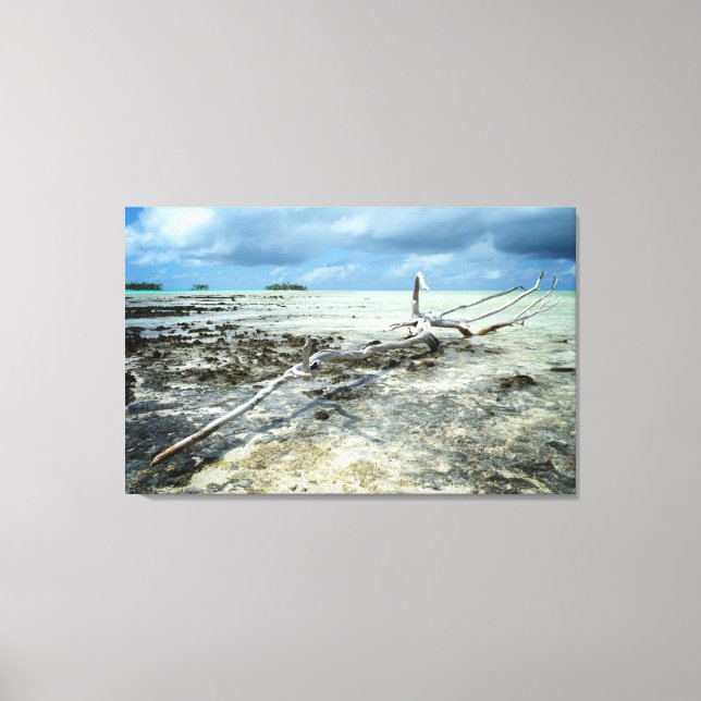 Decay in Paradise canvas print (Front)