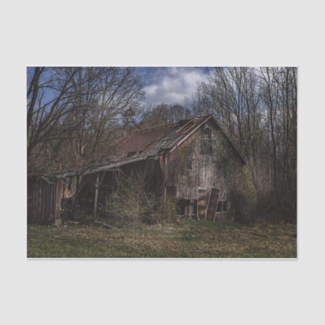 Decaying Abandoned Wood Barn in the Forest Tissue Paper (Front)