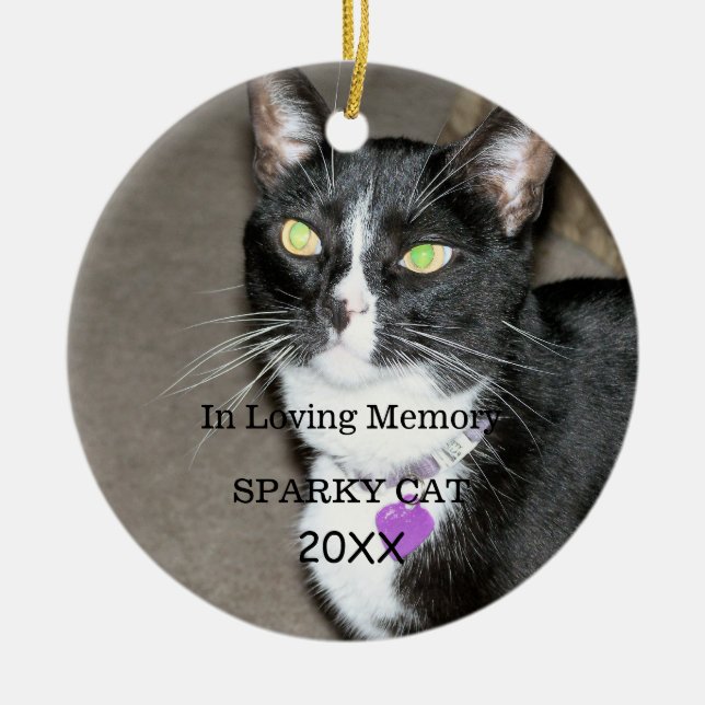 Deceased Pet Memorial Ceramic Ornament (Front)