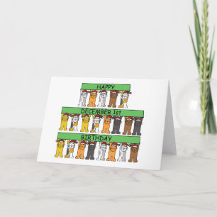 December 1st Birthdays celebrated by cats. Card