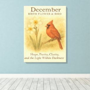 December Birthday Christian Cardinal Bible Verse I Canvas Print