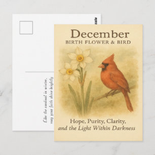 December Birthday Christian Cardinal Bible Verse I Postcard