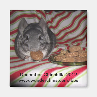 December chinchilla 2012 magnet