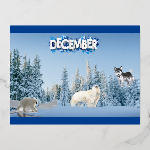 December  foil holiday postcard