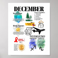 December Fun Facts Poster
