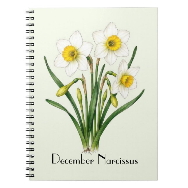 December Narcissus Flowers Notebook (Front)