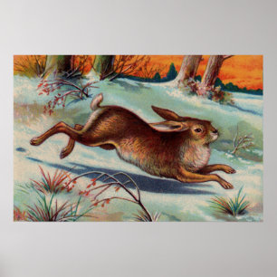 December Rabbit Medium Poster