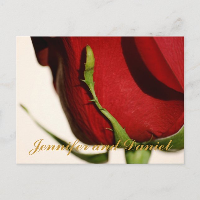 December Wedding Red Rose Announcement Card (Front)