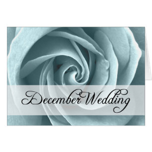 December Wedding : rose of the season :