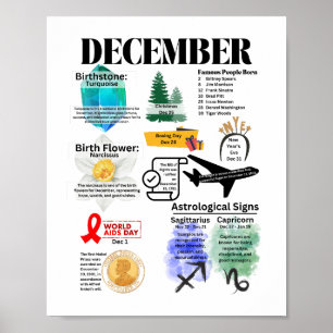 Décembre Fun Facts Poster