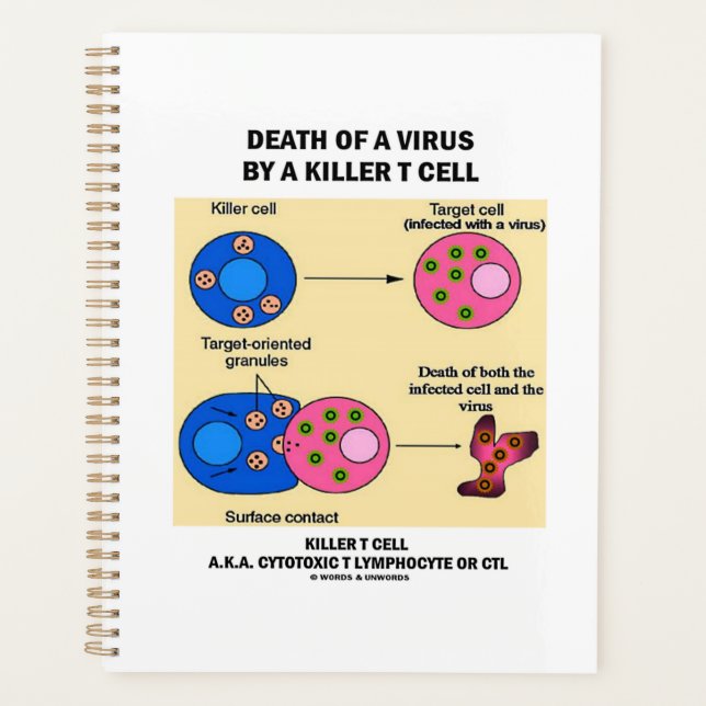 Décès D'Un Virus Par Un Tueur Immunologie Cellulai (Devant)