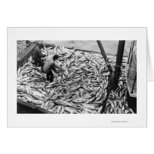 Déchargement du Saumon à partir de bateaux de pêch