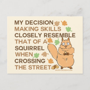 Decision Making Skills Squirrel Humour Postcard