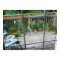 Deck Cat In Window