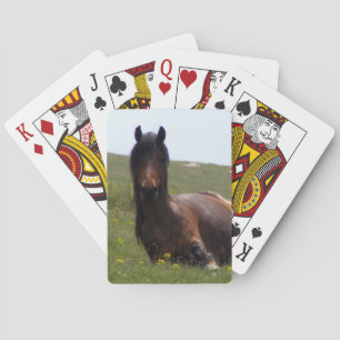 Deck of Cards, Resting Horse Playing Cards
