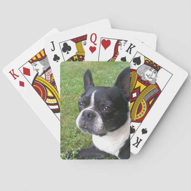 deck of playing cards, with boston terrier cards (Back)
