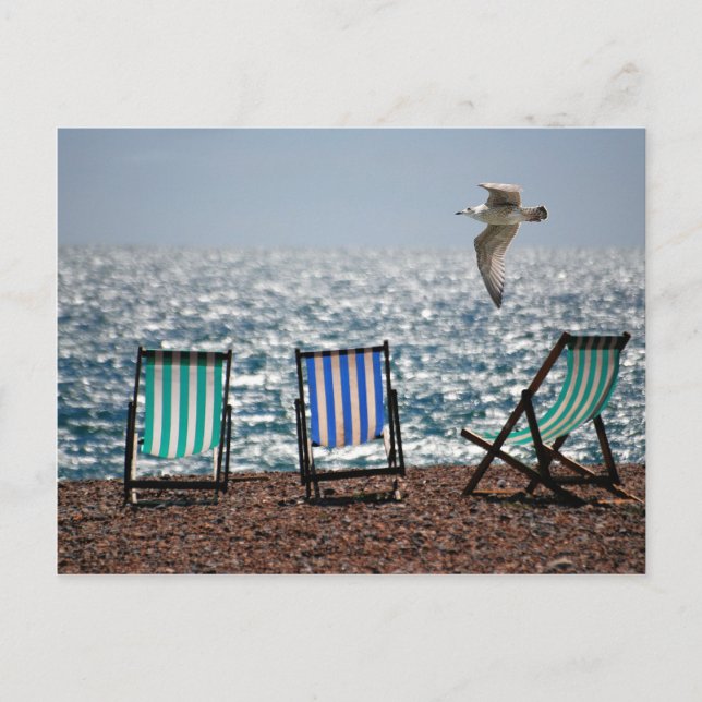 Deckchairs sea beach seagull beautiful scenery postcard (Front)