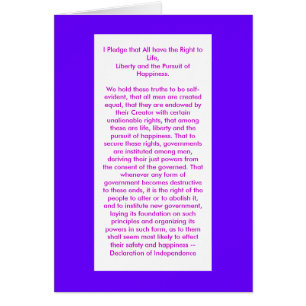 Declaration of Independence jGibney The MUSEUM Zaz