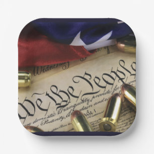 Declaration of Independence   Paper Plate