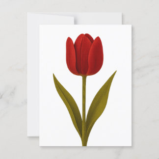 Declaration of Love Postcard